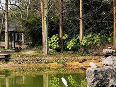-杭州植物园