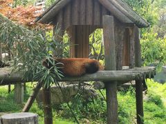 -宁波野生动物园