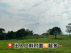 -良渚古城遗址公园