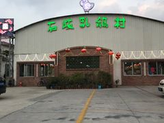 -石岐乳鸽村(桥观坊南四巷店)
