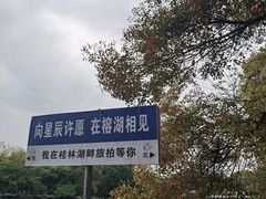 -桂林两江四湖景区
