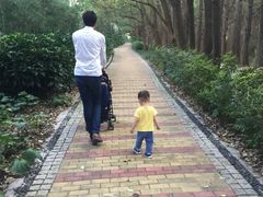 -同里国家湿地公园