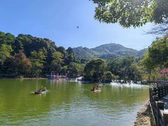 -广州市帽峰山景区