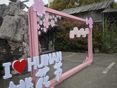-南汇桃花村