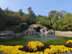 -香山公园
