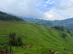 -紫鹊界梯田景区