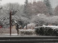 -悦屋老板娘的烤肉店(紫薇田园店)