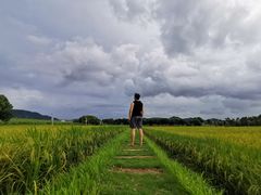 -光明小镇欢乐田园