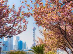 -北外滩滨江绿地