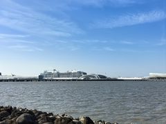 -上海吴淞炮台湾国家湿地公园