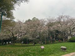 -中国茶叶博物馆(双峰馆区)
