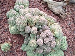 -南通洲际绿博园