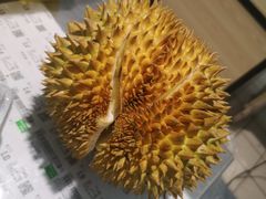 -欧尚(江阳中路店)