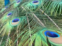 -海堤葡萄园中小学生研学基地