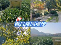 -中国茶叶博物馆(双峰馆区)