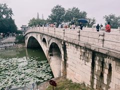 -赵州桥景区