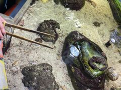 -嘉兴海底世界
