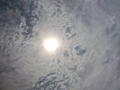 -美人松苑