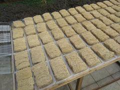 餐具摆设-西关竹园(荔枝湾店)