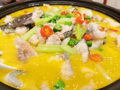 -鲁宴·鲁煨黄河生态大鲤鱼(月坛店)