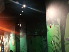 -珠海横琴国家地理探险家中心(创新方)