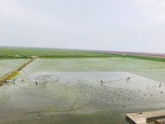 -红海滩国家风景廊道
