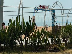 -大梅沙海滨公园