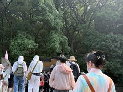 -普陀山风景名胜区-法雨禅寺