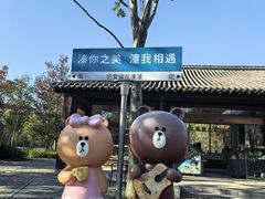 -溱湖国家湿地公园