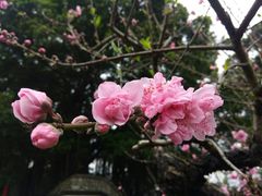 -乌山风景区