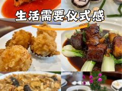-丁老爷子苏香圆