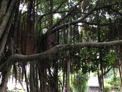 -胡里山炮台