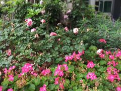 -人民公园(罗湖区)