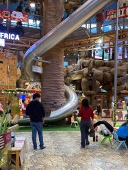 -卡通尼·Safari非洲探索乐园·生日会(金桥国际商业广场店)