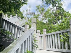 -阳台山森林公园