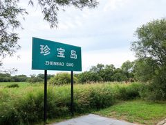 -珍宝岛