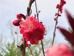 -朝阳公园