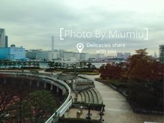 -台场海滨公园船码头