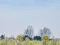 -中国天府农业博览园