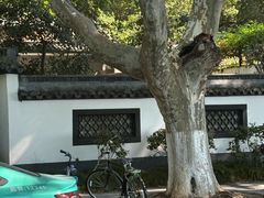 -北山街历史文化街区