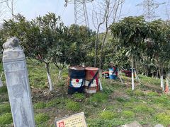 -张公山寨景区