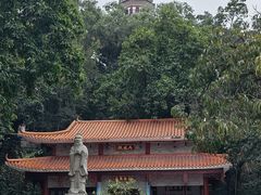 -顺峰山公园