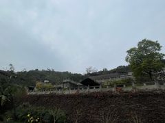 -燊海井