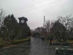 -永定河休闲森林公园