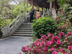 -柳侯公园