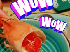 -摩登有记·新派泰国菜(银钻广场店)
