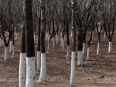 -长春世界雕塑园冰雪艺术天地