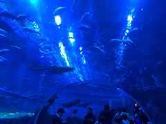 -成都浩海立方海洋公园