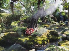 -Chom Cafe and Restaurant