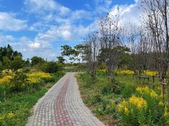 -广富林郊野公园